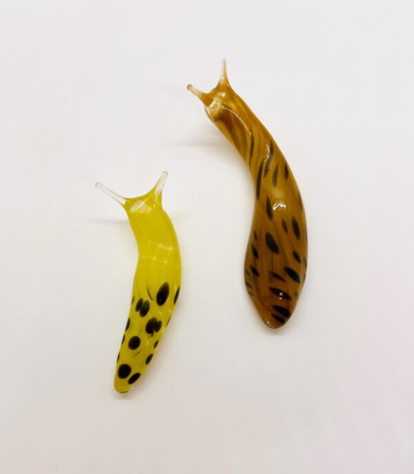 The Banana Slug - Image 3