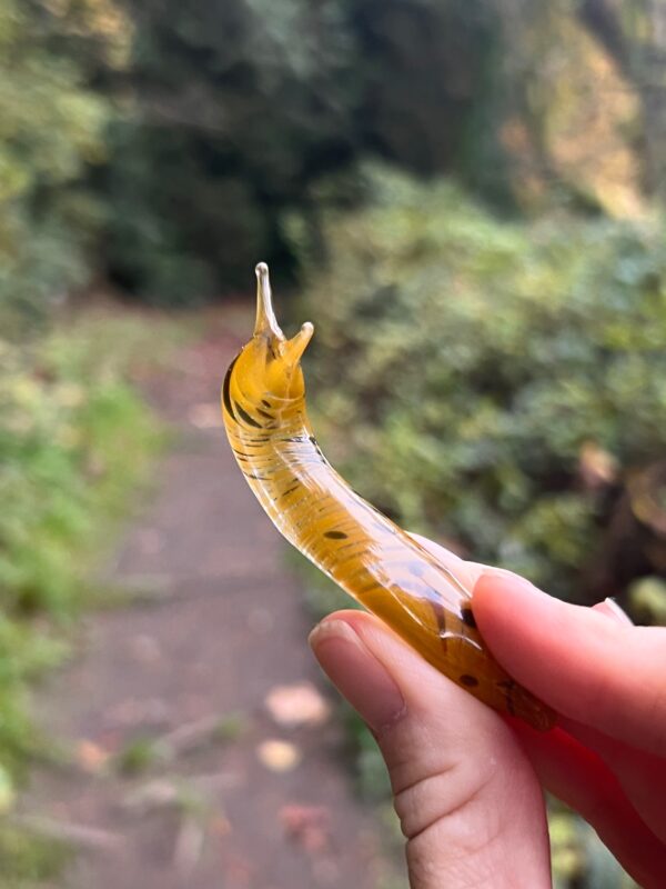 The Banana Slug - Image 13