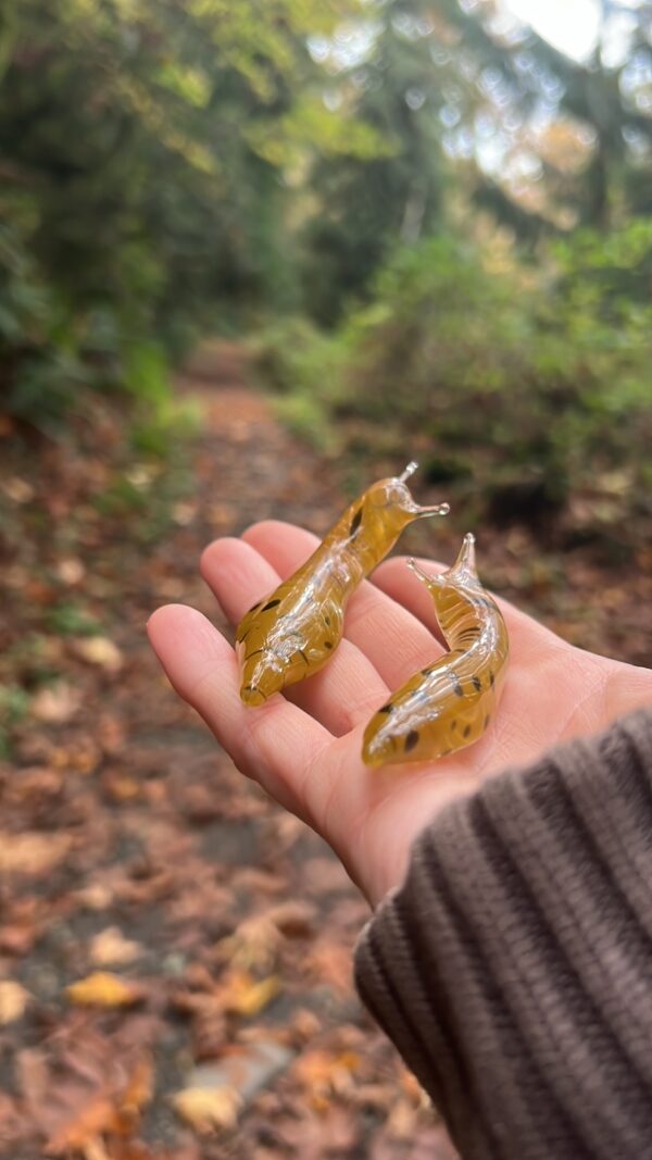 The Banana Slug